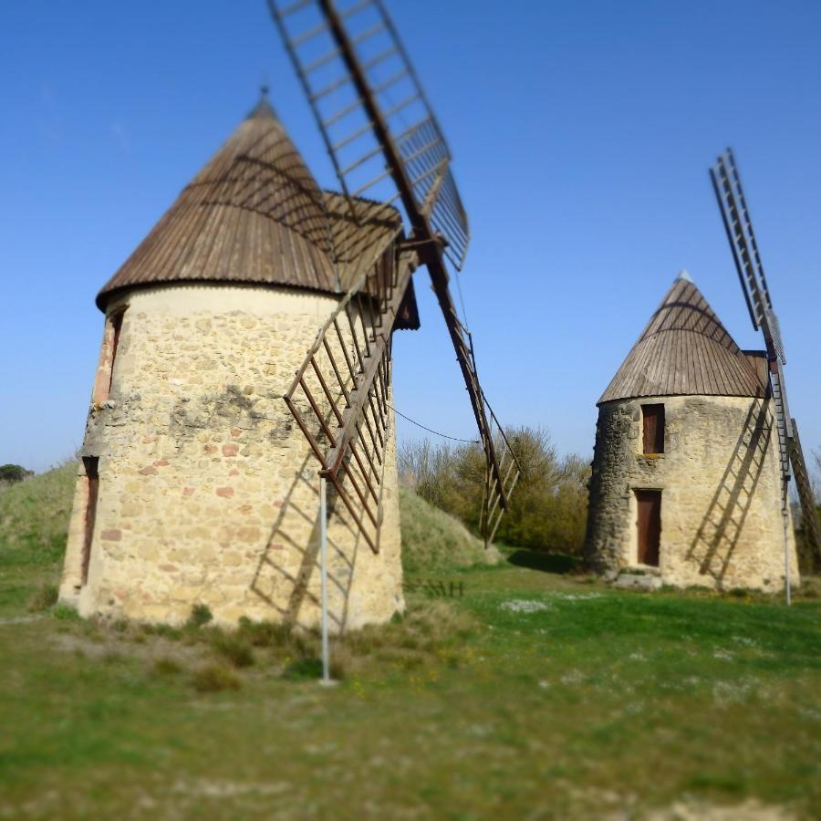 Bed and Breakfast L'Oustal Des Fontanilles Кастельнодари Экстерьер фото